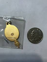 Lioness Club Pin (Lions Club) 100% Attendance pin pendant 6 ...