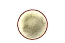 Moon - Animal Crossing: Pocket Camp Wiki