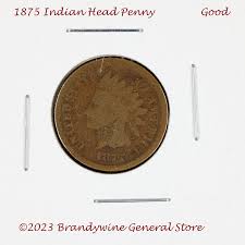 1875 Indian Head Penny | Brandywine General Store
