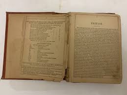 1882 Allison's Webster's Dictionary by William L. Allison ...