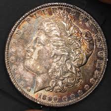 1889 $1 Morgan Silver Dollar-Original fields and natural ...