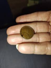 1929 D mint mark copper penny wheat penny rare reddish in ...