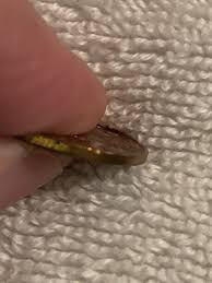 ADVERTISEMENT MEMORABILIA / COIN Faux Coin issued as Ad for ...