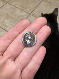 This penny I found at the bottom of the washing machine : r ...