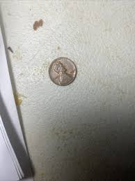 1968 Lincoln Penny with Error on Top Rim and "L" in Liberty ...