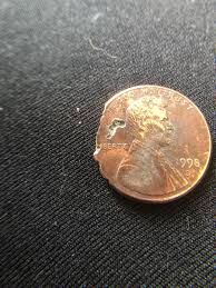1998 D lincoln penny,Double Die,Lamination,Planchet,full ...