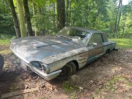 10 Ford Thunderbird Cars & 1 Boat and Trailer at Absolute ...