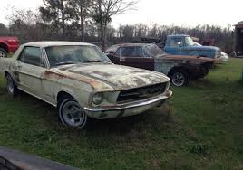 Vintage Baja Mustang restoration project
