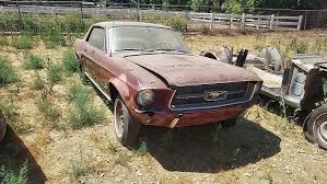 1967 Ford Mustang Rotting Away on Private Property Begs for ...
