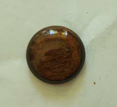 Round Walnut Shiny Finish Metal Shank Vintage Buttons 24L ...