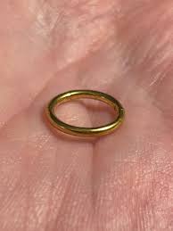 Gold Surgical Steel Hinged Segment Ring: 16g, 8mm Body ...