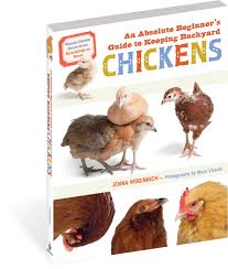 An Absolute Beginner's Guide to Keeping Backyard Chickens ...