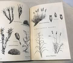 BEYOND THE ASPEN GROVE by Ann Zwinger 1970 1st Edition HC DJ ...