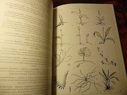 Orchids of America by J. Stewart and E. F. Hennessey (1981 ...