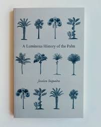 A LUMINOUS HISTORY OF THE PALM – New Material Books
