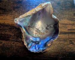 Hand-painted Gold Rainbow Oyster Shell: Iridescent Jewelry ...