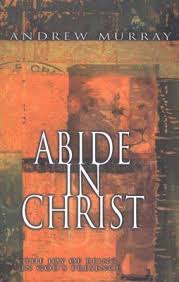 Abide in Christ: Andrew Murray: 9780883688601 ...