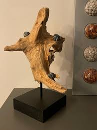 Sculpture Wood and Sea Urchin - Etsy