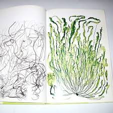 NICK KNIGHT Flora 1997 Hardcover FIRST EDITION Excellent Cond | eBay