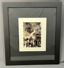 John McDermott Signed Photograph Print Angkor Wat Cambodia ...