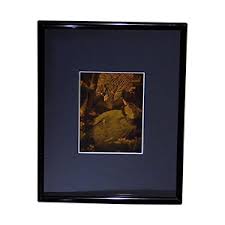 3D BIRD Hologram Picture (MATTED), Collectible on Silver ...