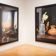 The Legacy of the Still Life in Olivia Parker's Exploratory ...