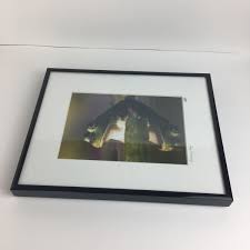 Sean Thompson “Reflecting Frog” Fine Art Nature Photography Matted Framed 8x10 | eBay