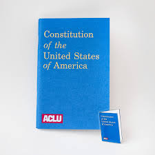 Constitution Pin - ACLU