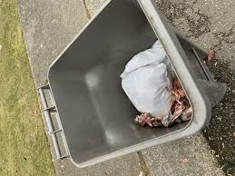 Neighbor is running a short-term rental. His guests/cleaning ...