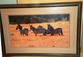 Patterns in the Grass- ltd. edition photograph by Tom ...