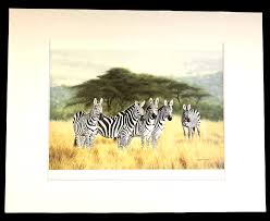 Charles Frace' "UNDIVIDED ATTENTION" 11 x 14 Matted Zebra ...