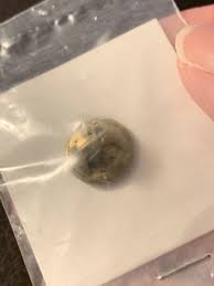 Vintage 100% Attendance Lions Club Gold Tone Enamel Lapel ...