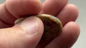 Mexican Crazy Lace Agate Cabochon From Mexico - Etsy