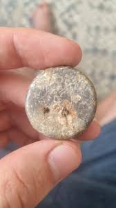 Found in greece : r/Whatisthis