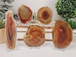 Red Rust "Amber" Agate Slice Lot of 5 (Avg. 3.0-4.5 inches ...