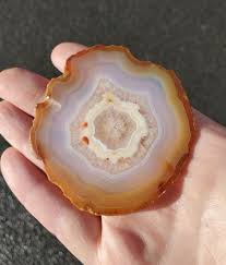 Rare Rainbow Iris Agate Petrified Wood, | Mercari