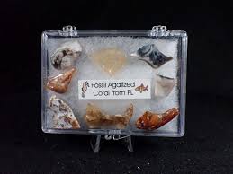 OneEyedSquirrelRocks - Etsy