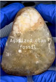 Finding Glacial Deposit Gemstone Finding Precious Gemstones Minerals Rocks Beautiful Rocks | TikTok