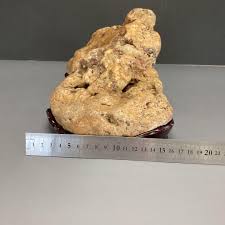 Bonsai Bonseki Suiseki Viewing Stone Kamuikotan Stone ...