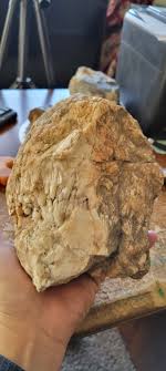 Real Chrystal Skull - Etsy