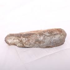 Agatized Dinosaur Bone Authentic Fossil - Hell Creek ...