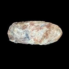 Exceptional Oviraptor Egg From the Cretaceous Period - Etsy
