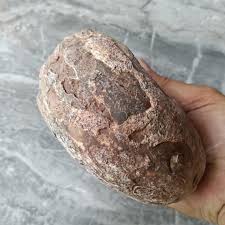 1434 Gr Natural Indonesia Fossil Ammonite Gemstone 7 - Etsy