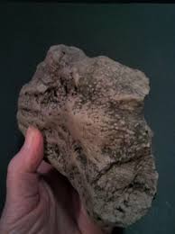 Prehistoric Paleo-American, petrified wood, rock art ...