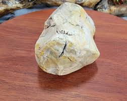 Yellow Petrified, Agatized Wood, - Etsy