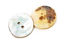 Natural Pearl Shell Buttons by Dill Buttons of America at ...