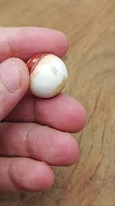 Dali Jasper Sphere Stone – Pork Stone Crystal Ball - Healing ...