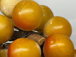 Vintage Mid Century Modern Decor Grapes Cluster with Wood Stem - SOLD AS-IS | eBay