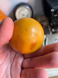 Vintage Bakelite billiard balls USSR 145 gram | eBay