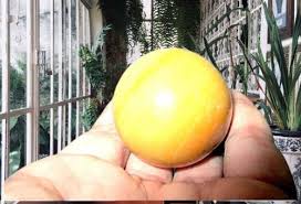 Jet Gemstone Ball Approx 40-50mm Ball Magic Fortune Teller Himalayan Rock Crystal Stone Massage Ball Free Jet International Crystal Therapy booklet (Yellow Jade) : Amazon.in: Health & Personal Care